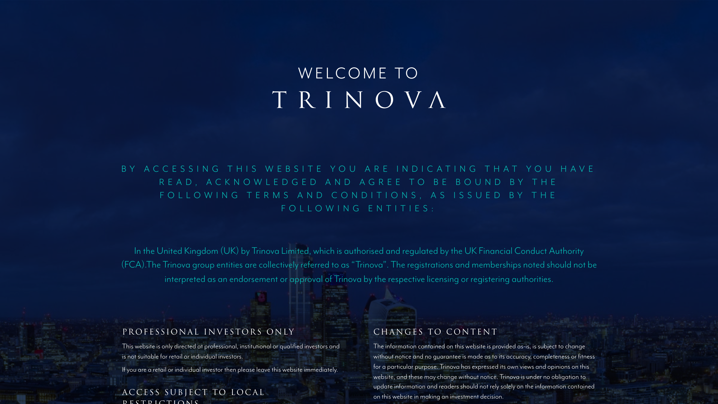 Trinova Real Estate page preview
