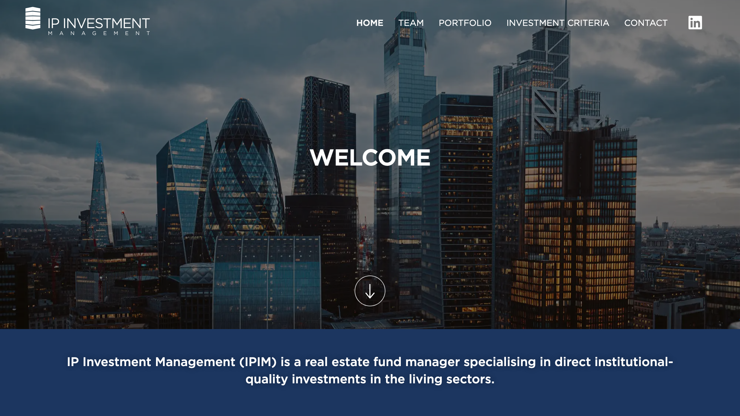 IP Investment Management page preview